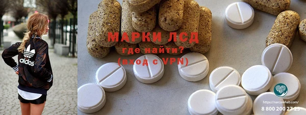 a pvp Алзамай