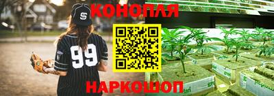 амф Заволжье