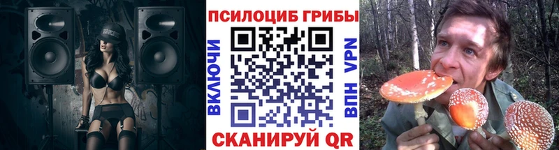 купить наркоту  Нововоронеж  Галлюциногенные грибы Psilocybine cubensis 