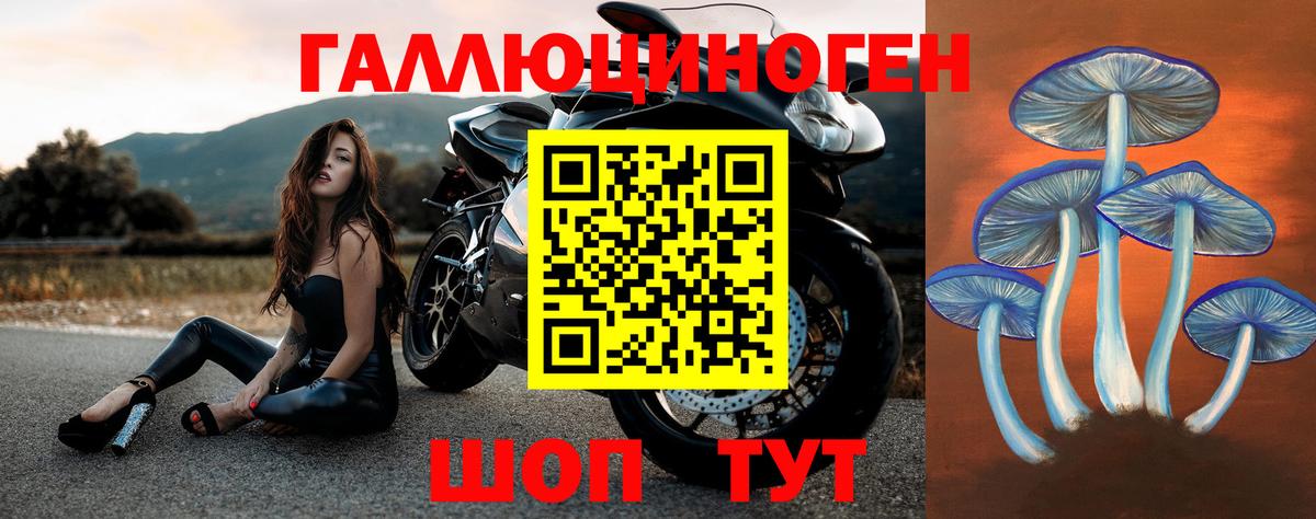 Галлюциногенные грибы мухоморы  Вход с VPN  Нововоронеж  купить наркотики цена  Псилоцибиновые грибы Cubensis 