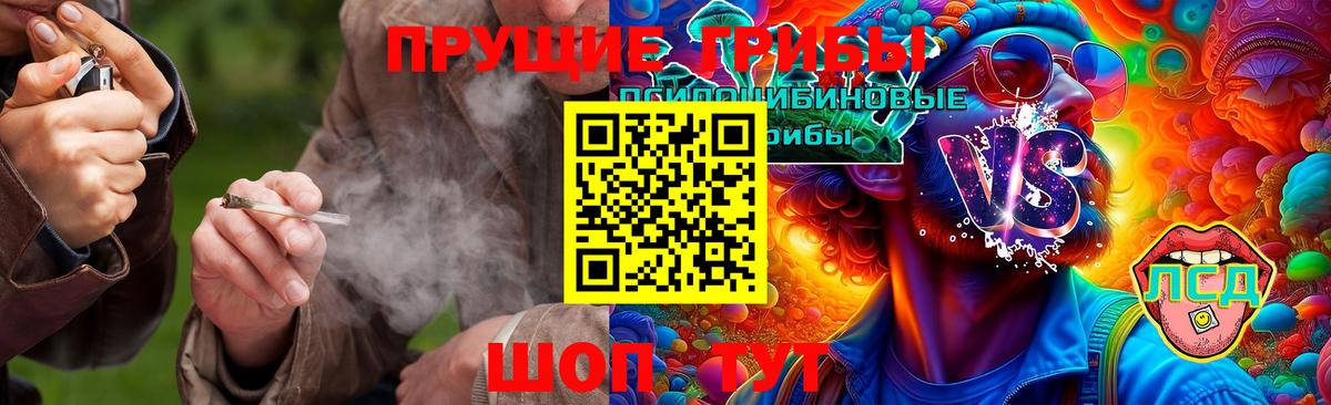 Псилоцибиновые грибы мухоморы Нововоронеж